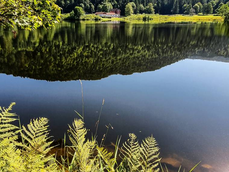 Lac de Retournemer Â© OT GÃ©rardmer Hautes-Vosges