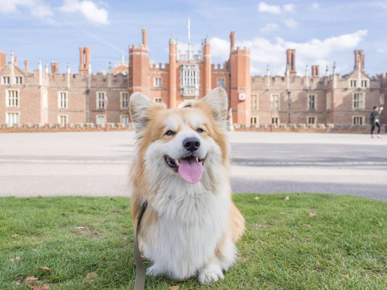 Hampton Court Palace Â© Visit Britain - AurÃ©lie Four