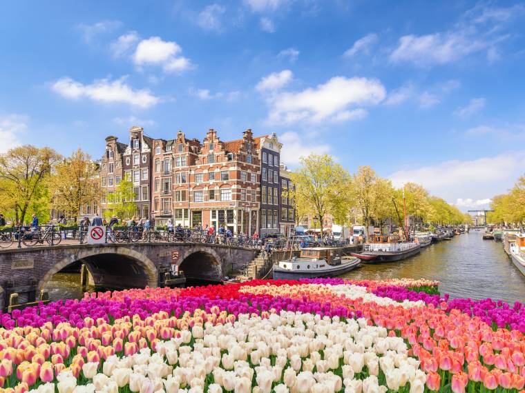 Amsterdam, festival des tulipes Â© AdobeStock_190098613