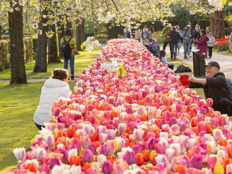 Keukenhof (c) Keukenhof