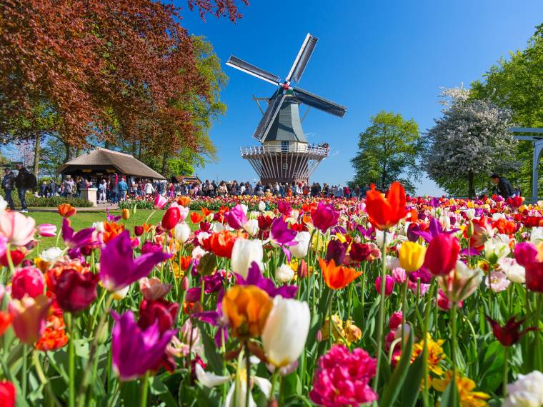 Keukenhof Â© AdobeStock