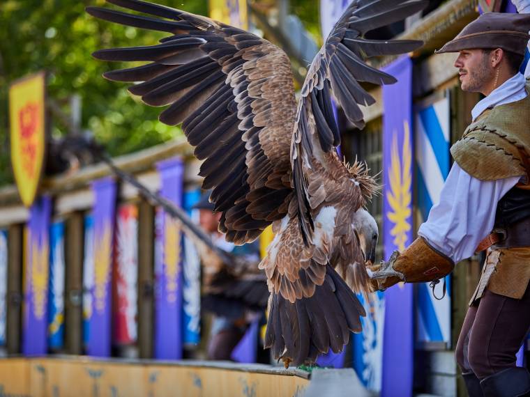 Le Bal des Oiseaux FantÃ´mes Â© Puy du Fou