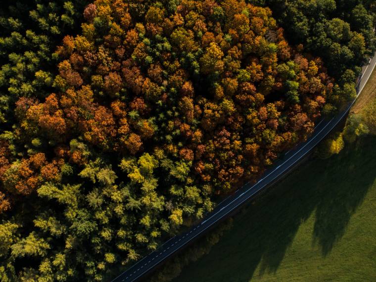 Ardennes Â© WBT - Denis Closon-Sur les routes Ardennaises