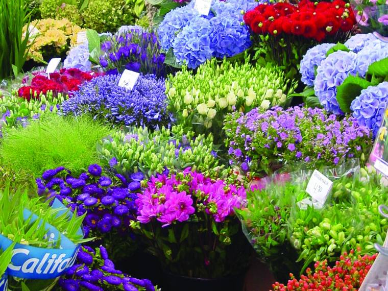 MarchÃ© de maastricht Â© Holland mediabank