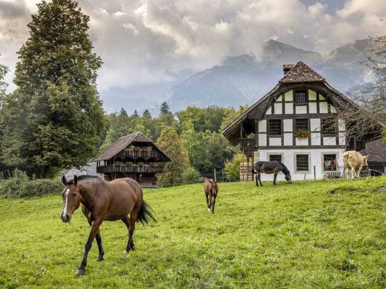 Â© Ballenberg, Swiss Open-Air Museum (1)